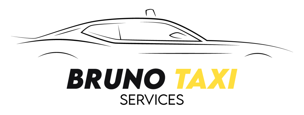 LOGO sans fond - BRUNO TAXI SERVICES